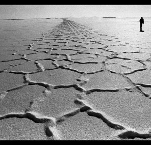 רשימת מכולת של גילויים