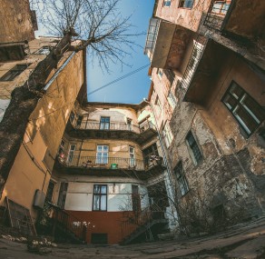 ועל האדמה החרוכה, ניצנים חדשים