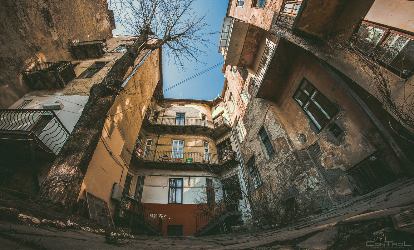 ועל האדמה החרוכה, ניצנים חדשים