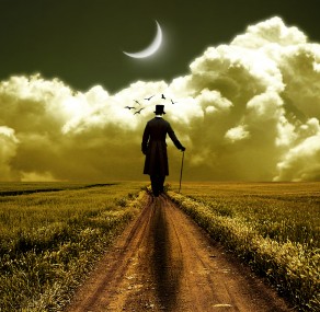 מחפש בשדות של אחרים