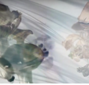 רשתות חברתיות