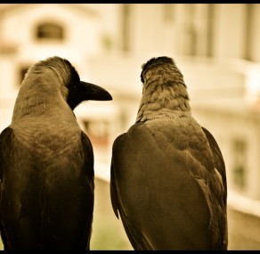 מה אתה מדבר