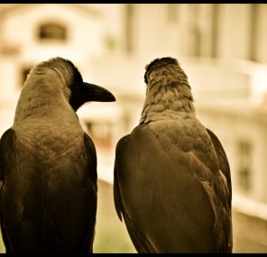 מה אתה מדבר