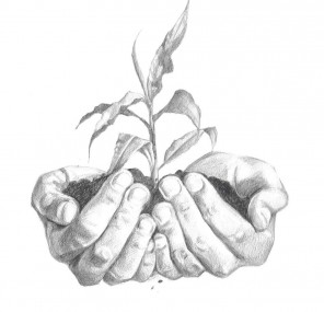 מאה אחוז תשומת לב