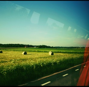 בשבח הבהייה