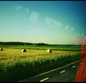 בשבח הבהייה