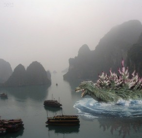 שפע יופי, שפע חרדות