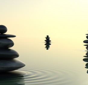 מי מעביר את החשמל