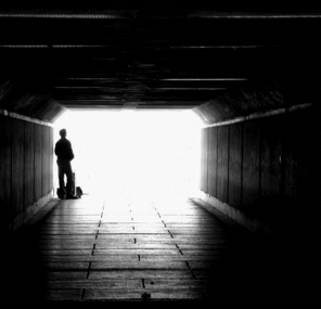 נקודות האור של מירוץ העכברים