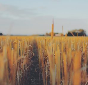 מה בונה קשר?