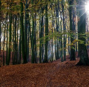 הקדיש שלא נאמר
