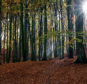 הקדיש שלא נאמר