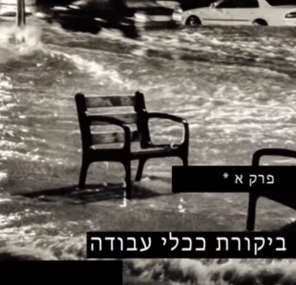 ביקורת ככלי עבודה