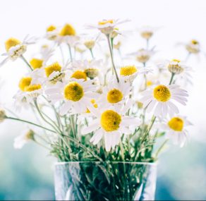 אהבת חינם במבצע