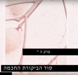 סוד הביקורת החכמה