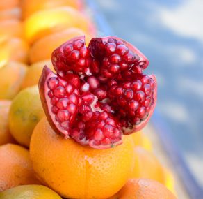 5.10-31.10: תשרי בבית ליבא