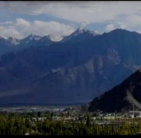 פסטיליבא – הסרט המלא