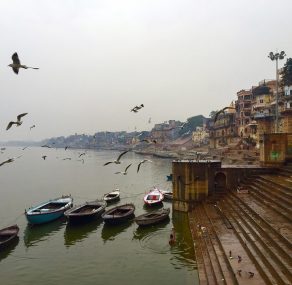 הנווד והחוקר