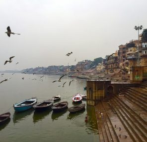 הנווד והחוקר