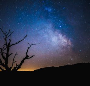 החולמים והנרדמים