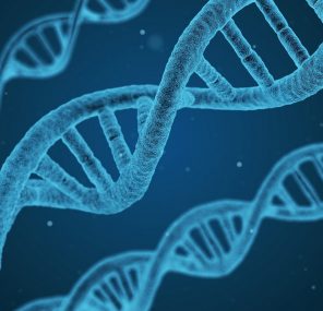 הדטרמיניזם הגנטי והבחירה החופשית