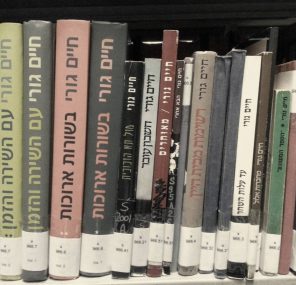 מה העציב את חיים גורי?