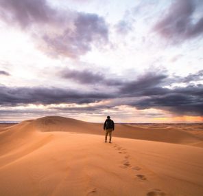 הסיפור שנשכח במדבר