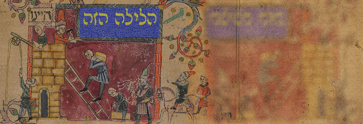 חזרה גנראלית לסדר פסח עם פרופ' חביבה פדיה