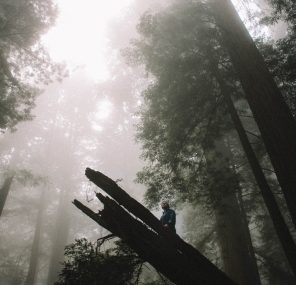 השם שלי ואני