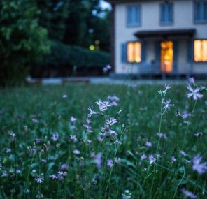 תודה באיחור