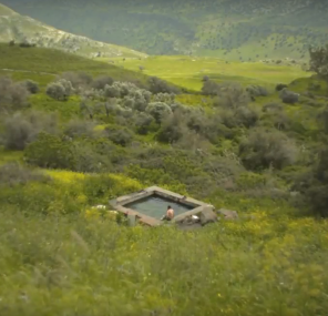 יערוף כמטר לקחי