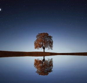 לא תוכל להתעלם